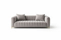 Velvet Upholstered Sofa with Cushions Light Gray